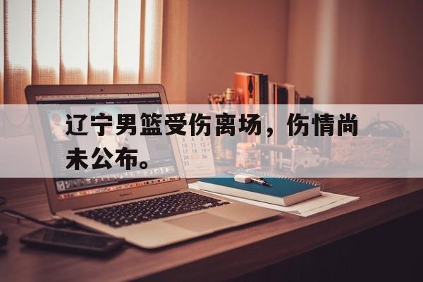 电子竞技下载入口-辽宁男篮受伤离场，伤情尚未公布。